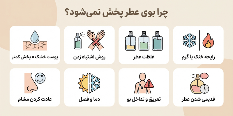 چرا بوی عطرم پخش نمیشه؟ دلایل پیدا نبودن بوی عطر چرا بوی عطر بخش نمی شود