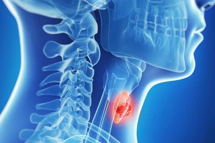اختلالات تیروئید می‌تواند شانس باروری را کاهش دهد
