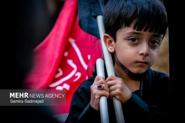 وقتی خادمان حسینی قد می‌کشند