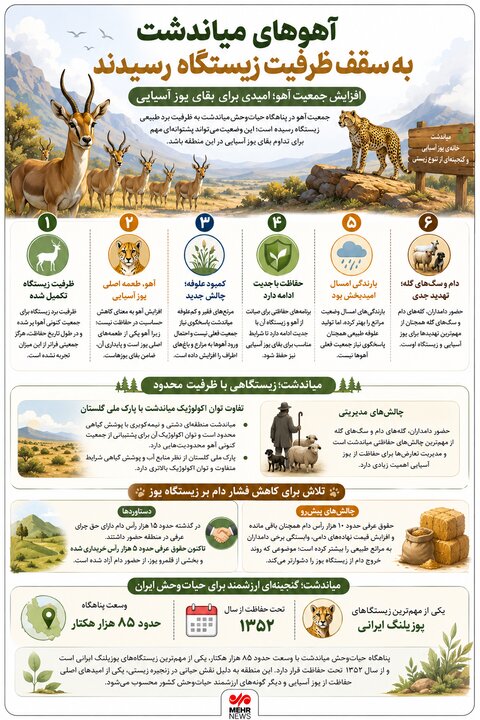 اینفوگرافیک؛ آهوهای میاندشت به سقف ظرفیت زیستگاه رسیدند