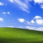 سقوط آزاد ویندوز / محبوب‌ترین سیستم‌عامل جهان کدام است؟
